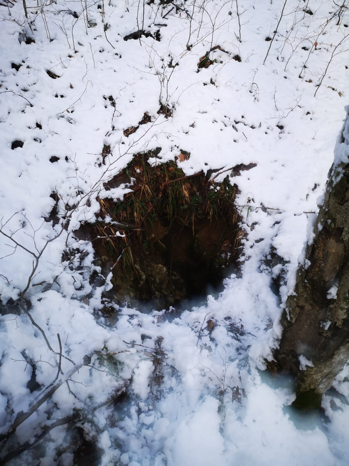 Avenul Uitat - Image 1